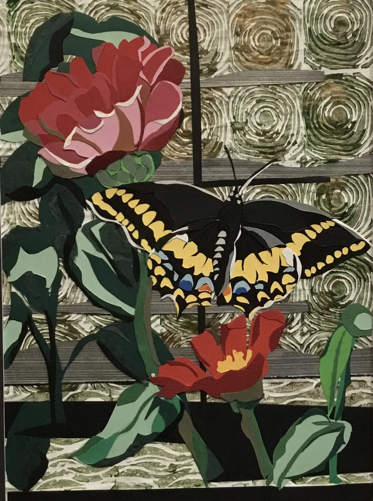 Swallowtail on Zinnia — Carte Terra Designs
